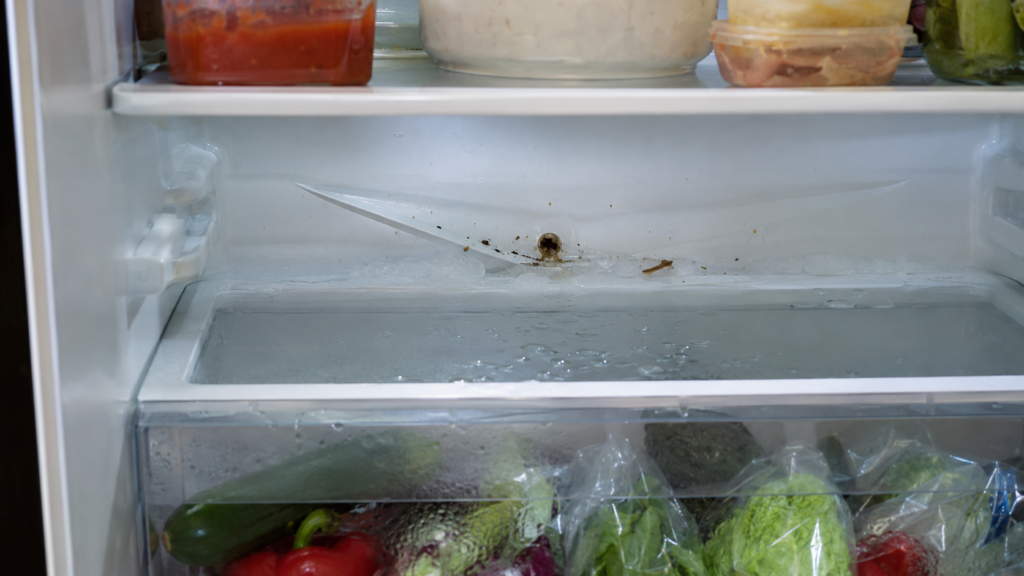Blocked fridge drainage hole causing water to collect beneath the salad drawer